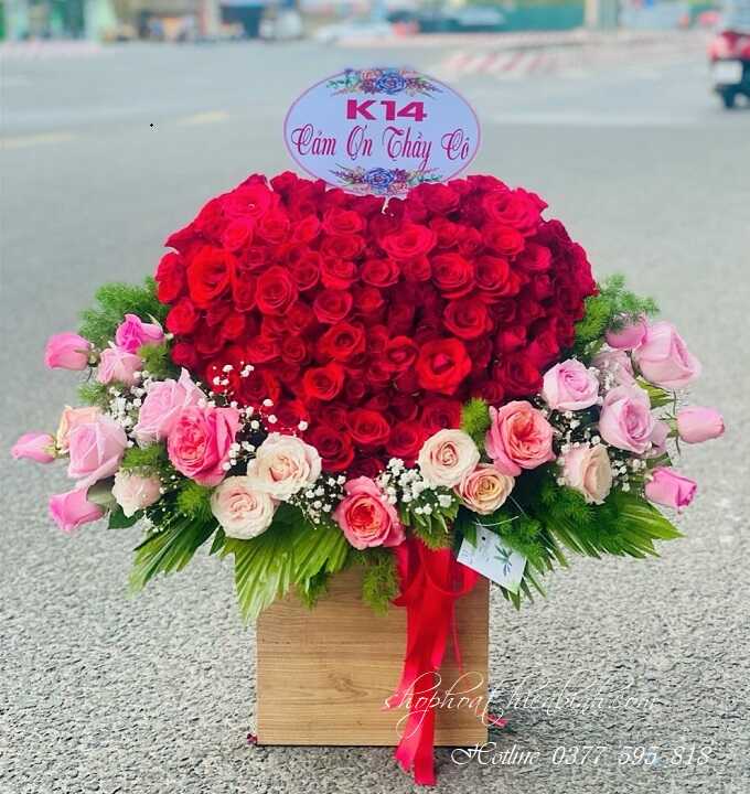 Hoa Tình Yêu - H192